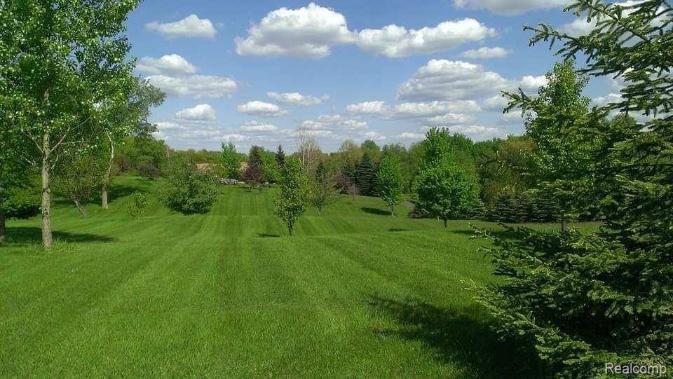 6982 West Lange Road Fowlerville, MI 48836 - Photo 38 of 47 IMG_5122 (1).JPG