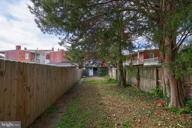 a view of a backyard