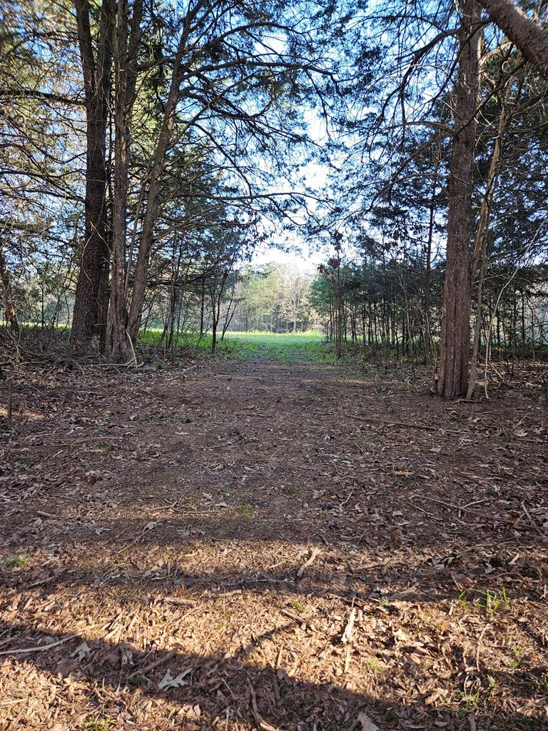 634 Salem Church Road Dillwyn, VA 23936 - Photo 10 of 36 Gallery Image 10
