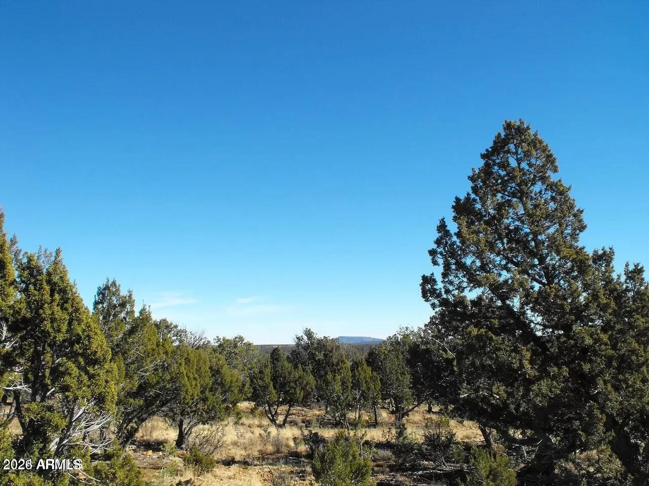 4131 Sunset Ridge Loop Happy Jack, AZ 86024 - Photo 1 of 2 4131 Sunset ridge 176 image