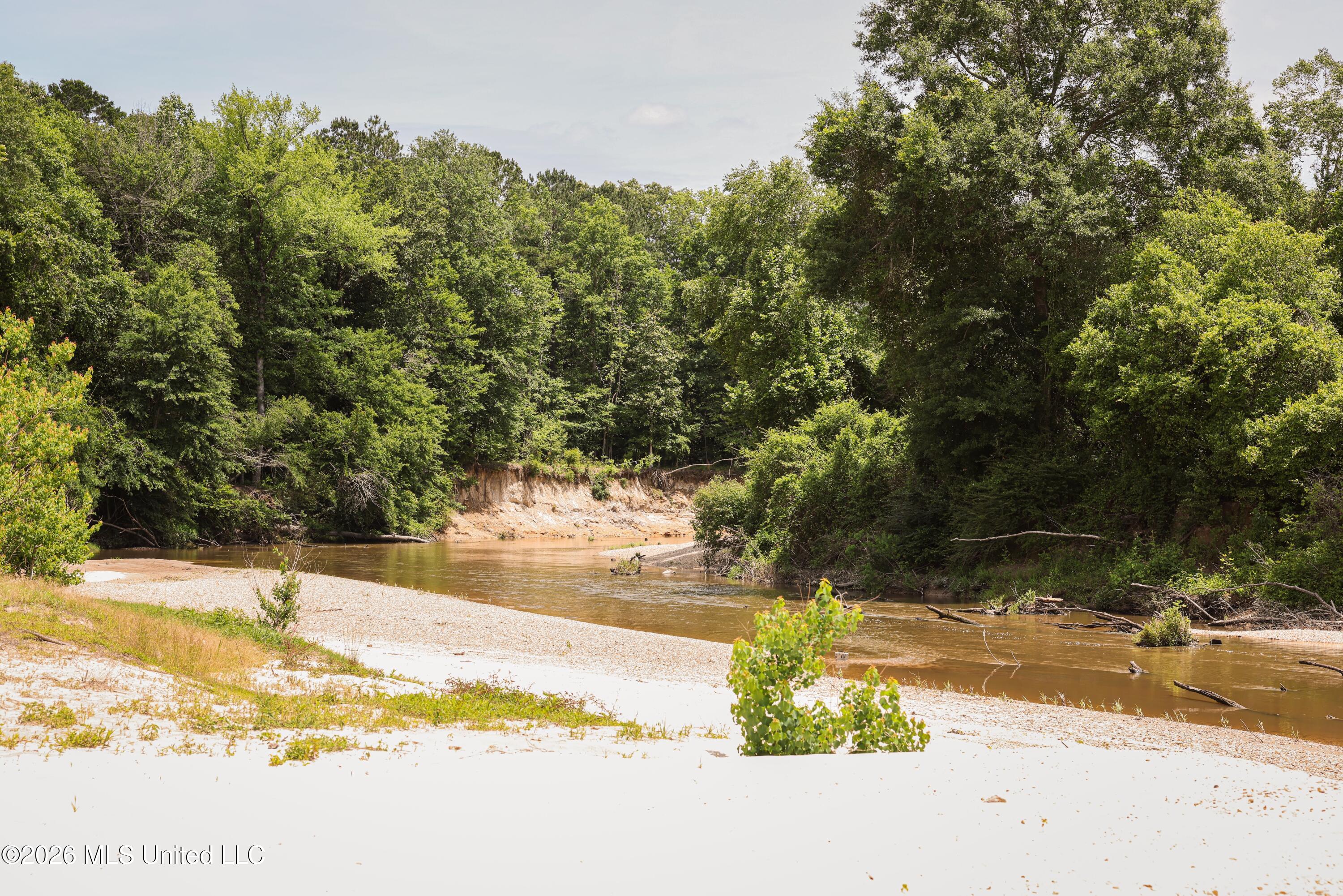 Tbd Tbd Ms-570 Summit Summit, MS 39666 - Photo 8 of 30 EL0A0553