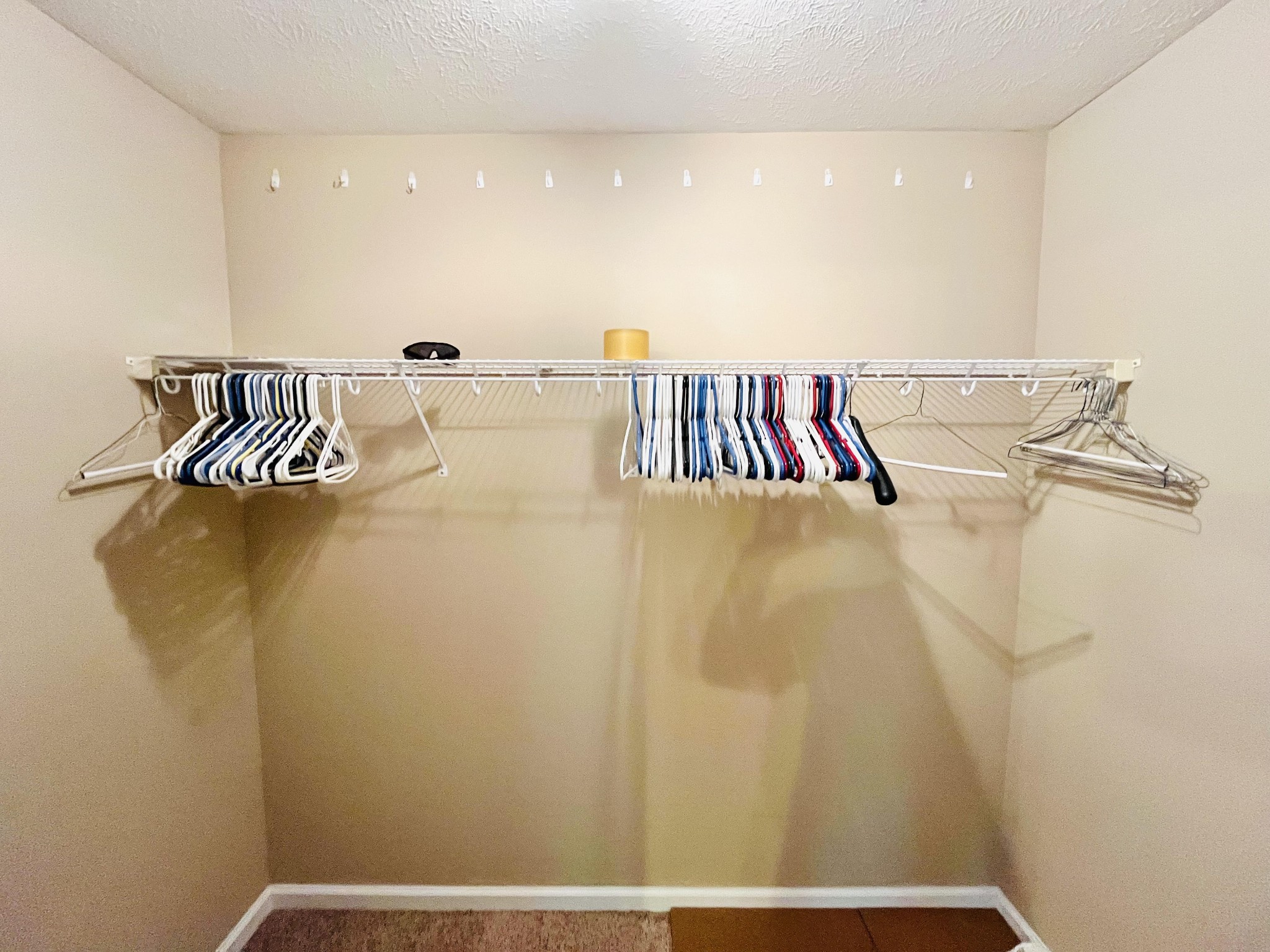 1476 Haynes Road Woodlawn, TN 37191 - Photo 16 of 31 Large Bonus room with walk-in closet and full bath
