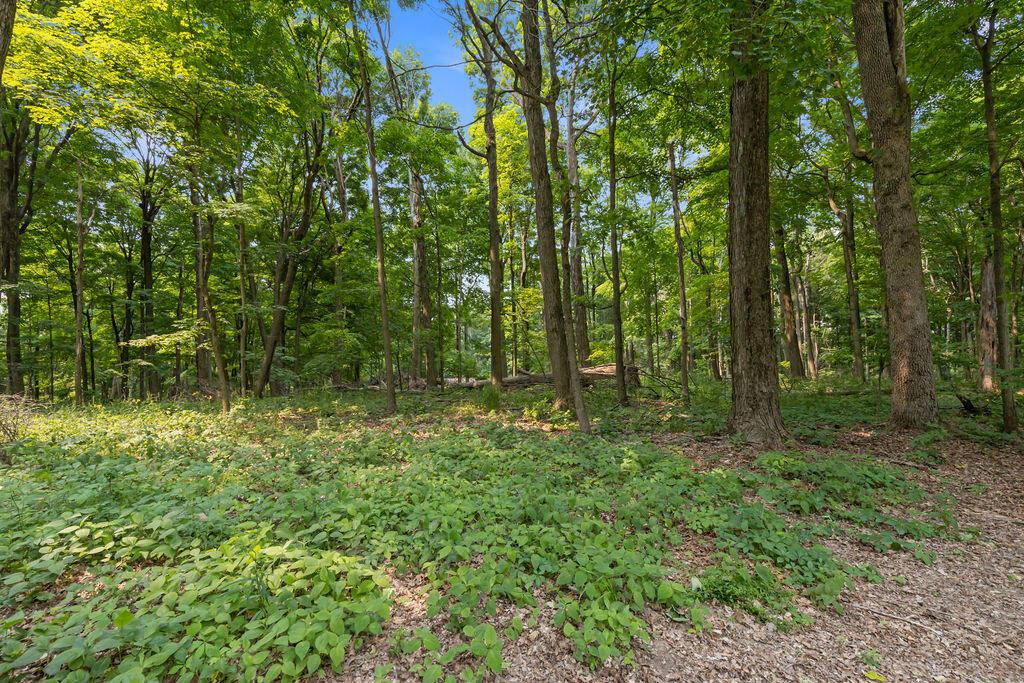 254 Garver Road Mansfield, OH 44903 - Photo 46 of 57 254GarverRoadExt_Hommati102(16)