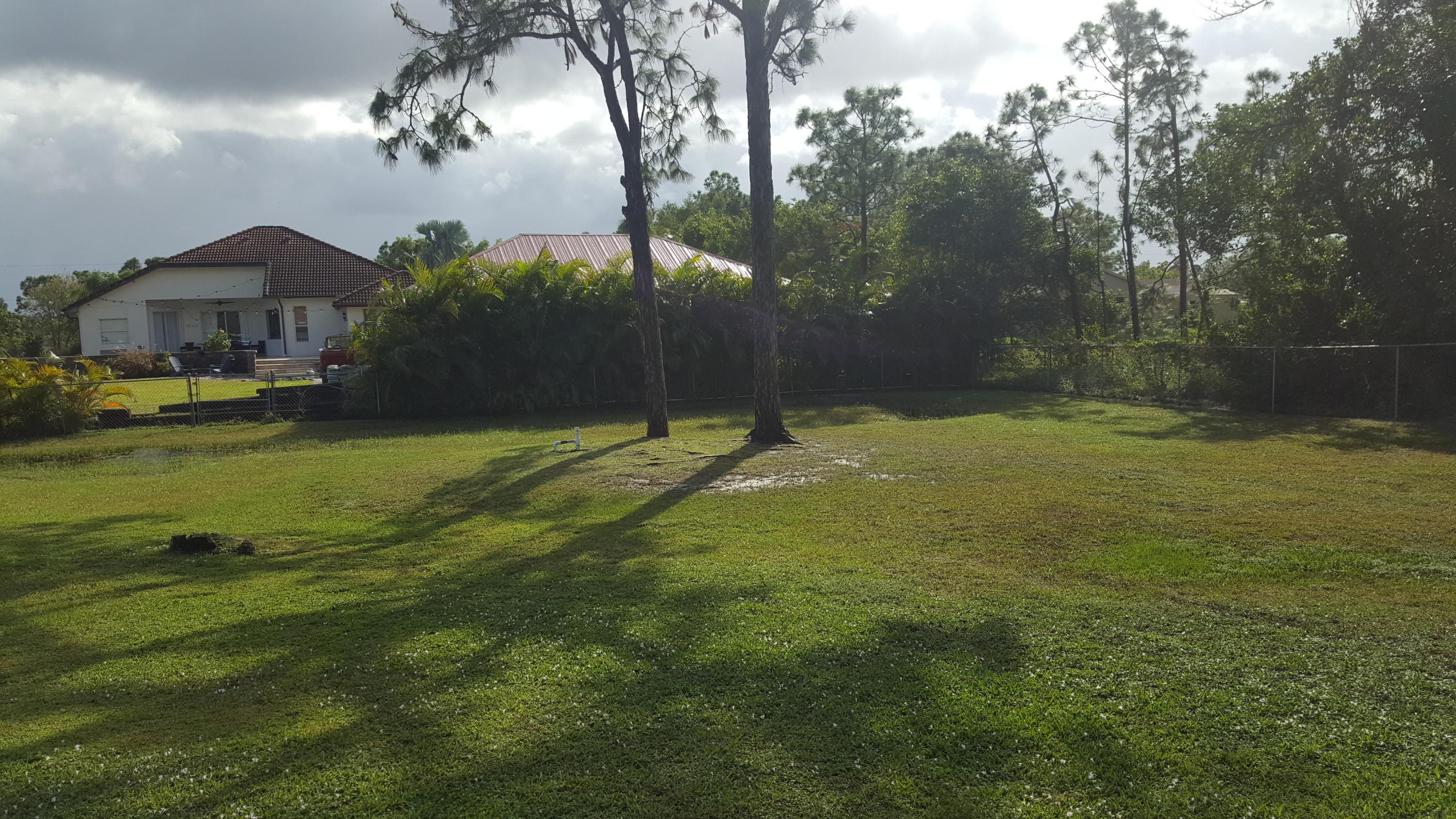 15134 76th Road North Loxahatchee, FL 33470 - Photo 7 of 9 Back Yard