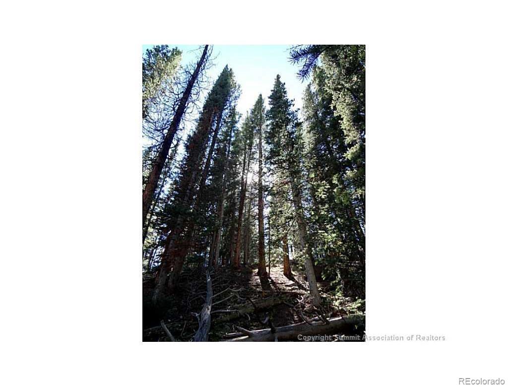 0 Guyot Fairplay, CO 80440 - Photo 11 of 17 a black and white photo of a chair