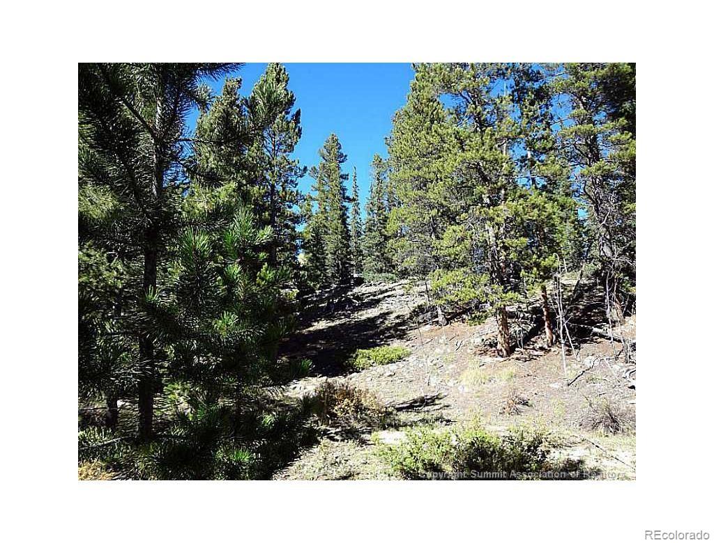 0 Guyot Fairplay, CO 80440 - Photo 12 of 17 a view of a back yard