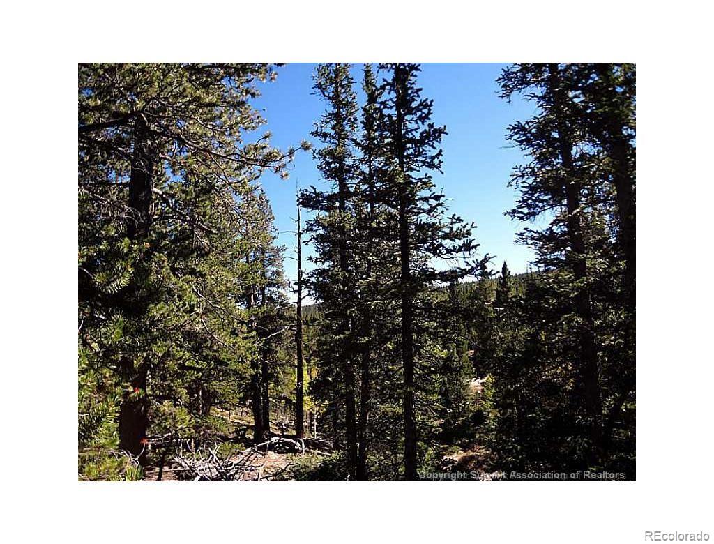 0 Guyot Fairplay, CO 80440 - Photo 13 of 17 a black and white photo of a house