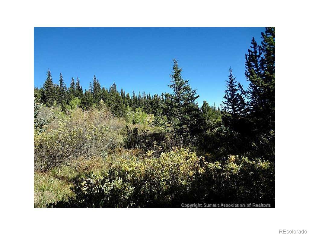 0 Guyot Fairplay, CO 80440 - Photo 14 of 17 a view of a city