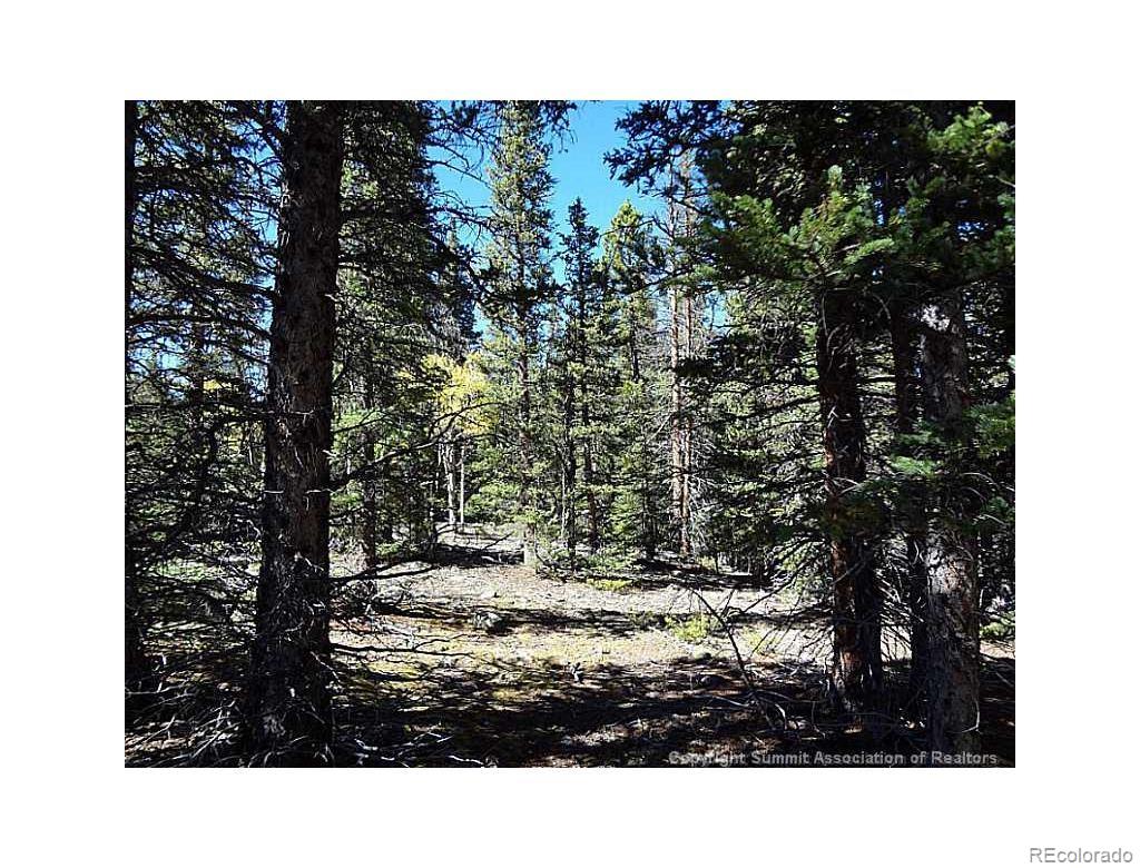 0 Guyot Fairplay, CO 80440 - Photo 15 of 17