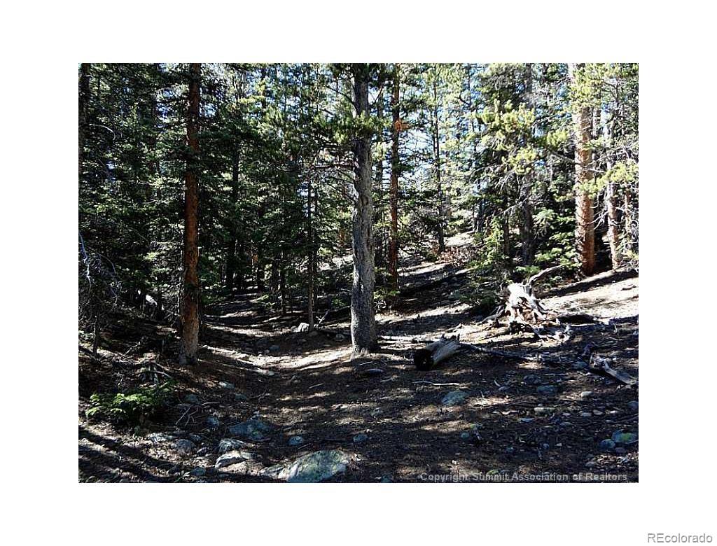 0 Guyot Fairplay, CO 80440 - Photo 16 of 17 a black and white photo of a house