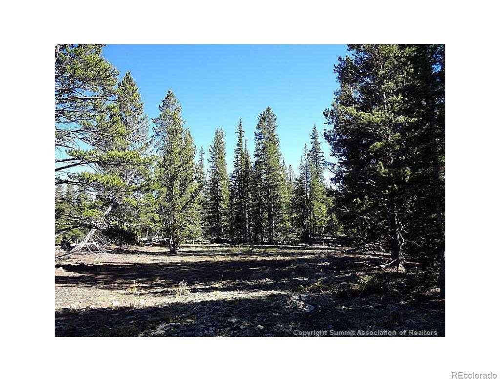 0 Guyot Fairplay, CO 80440 - Photo 17 of 17 a view of a green field