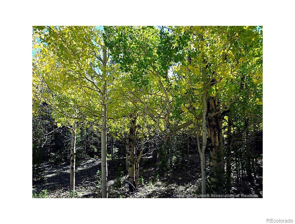 0 Guyot Fairplay, CO 80440 - Photo 2 of 17 a black and white photo of a house