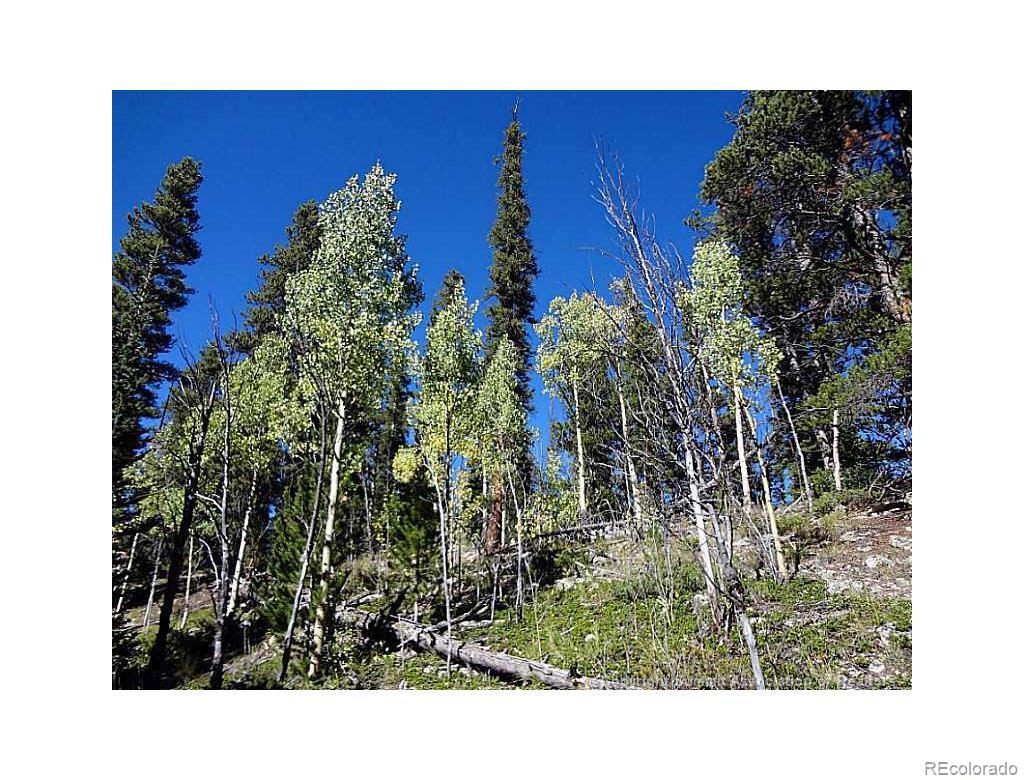 0 Guyot Fairplay, CO 80440 - Photo 3 of 17 a black and white photo of a building