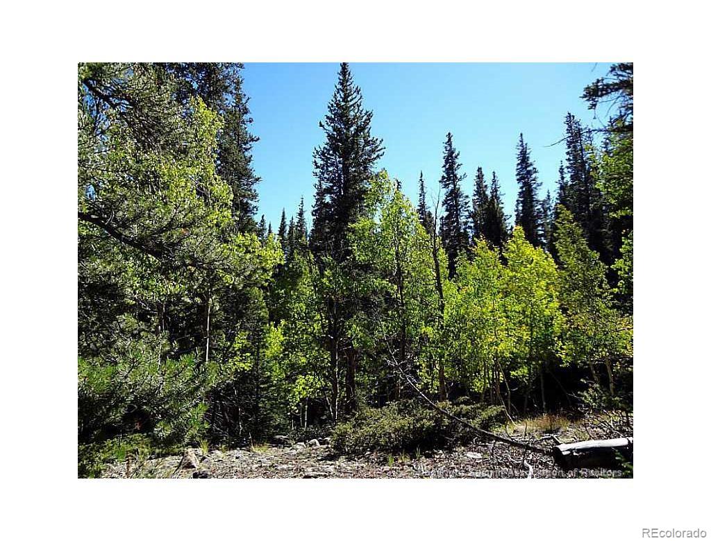 0 Guyot Fairplay, CO 80440 - Photo 4 of 17 a view of a city