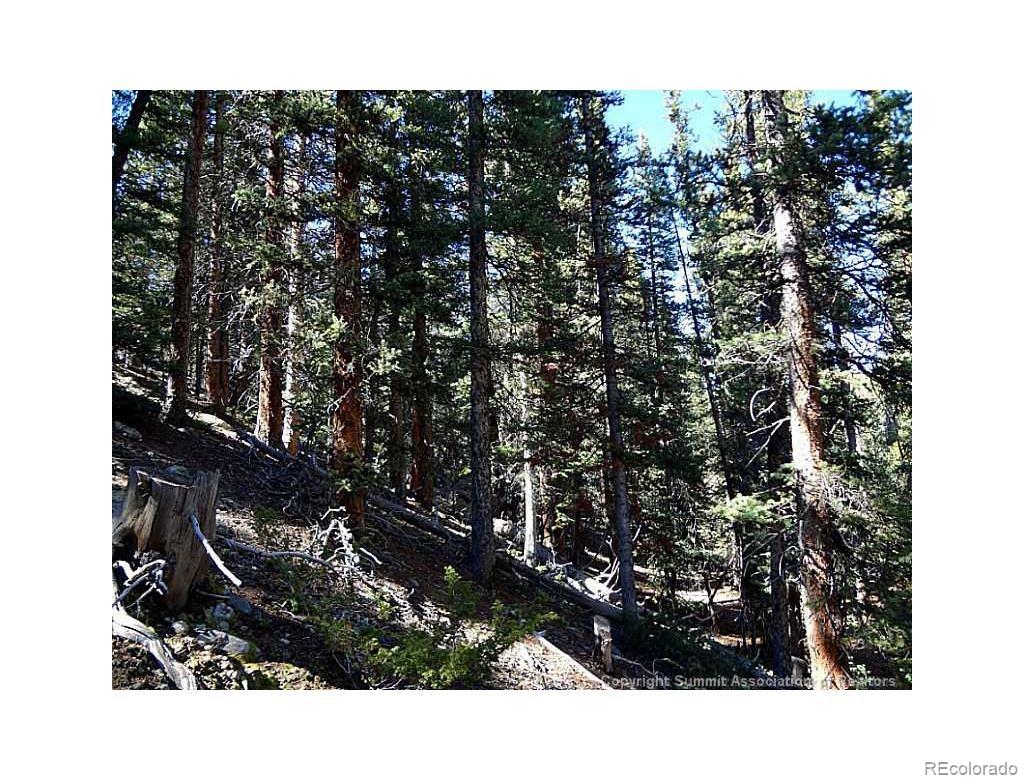 0 Guyot Fairplay, CO 80440 - Photo 5 of 17 a view of outdoor space