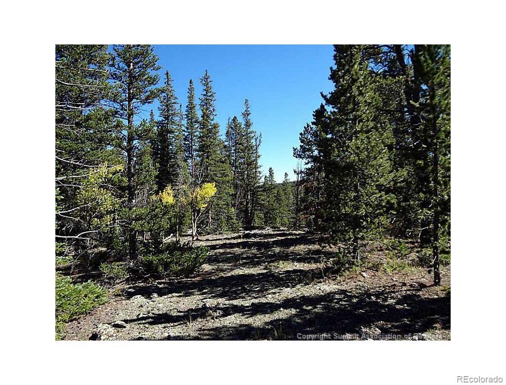 0 Guyot Fairplay, CO 80440 - Photo 6 of 17 a view of a back yard