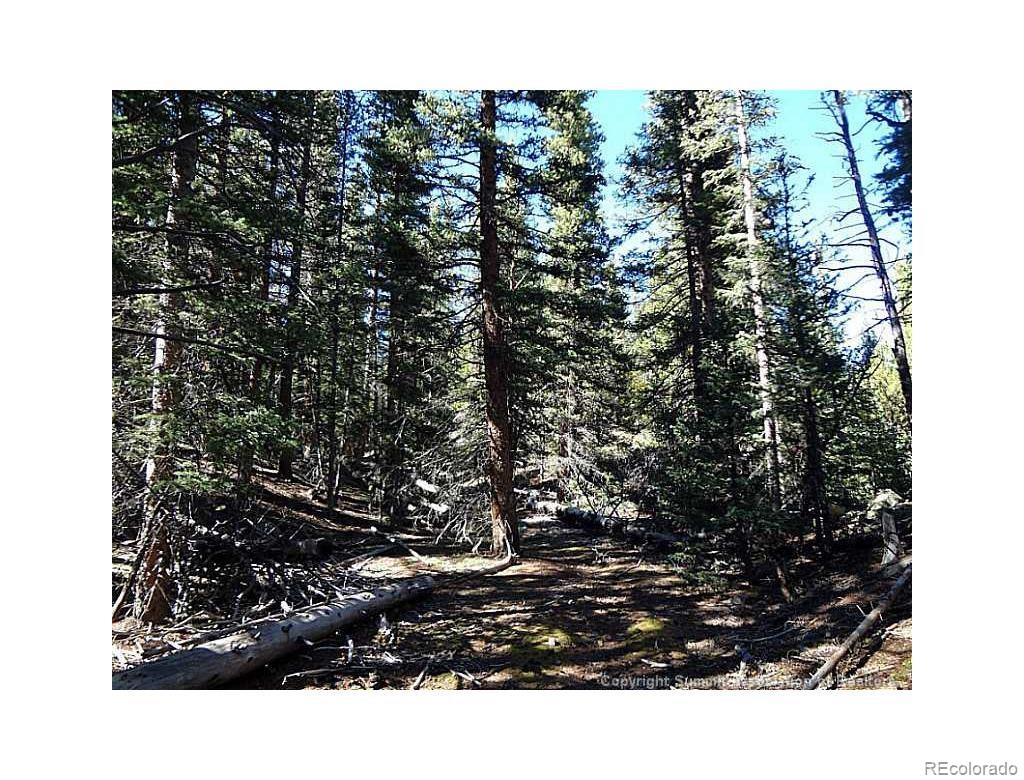 0 Guyot Fairplay, CO 80440 - Photo 7 of 17 a black and white photo of a house