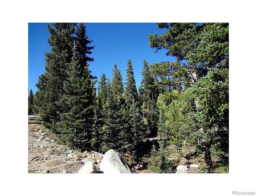 0 Guyot Fairplay, CO 80440 - Photo 8 of 17 a picture of a tree