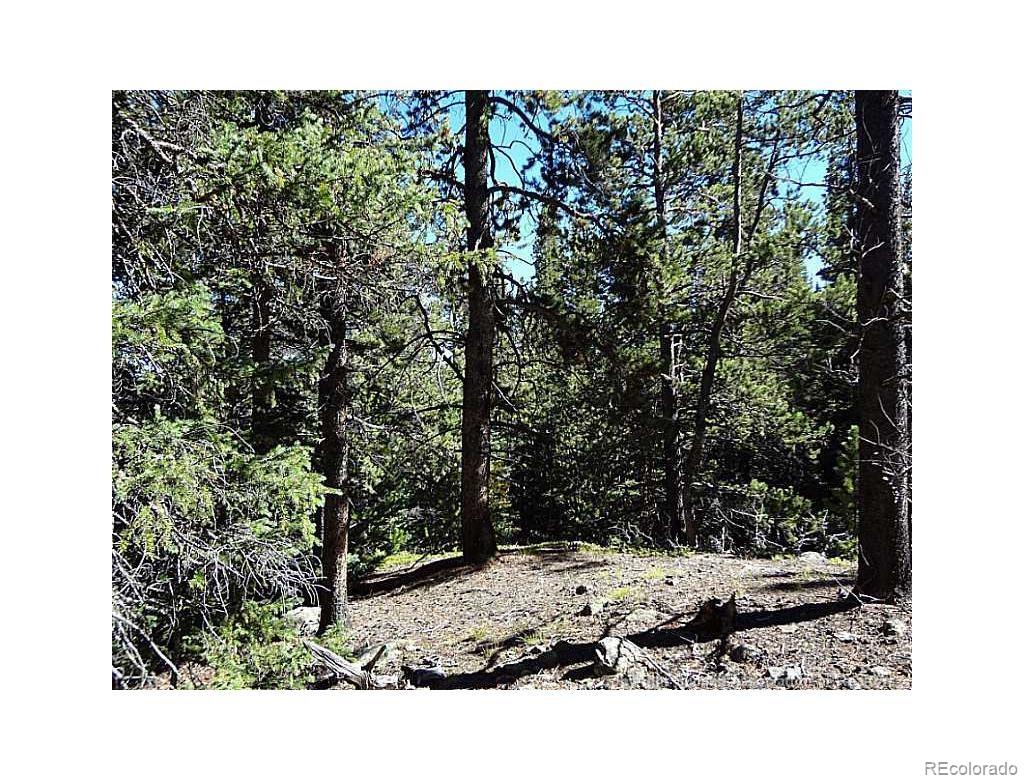 0 Guyot Fairplay, CO 80440 - Photo 9 of 17 a view of a back yard