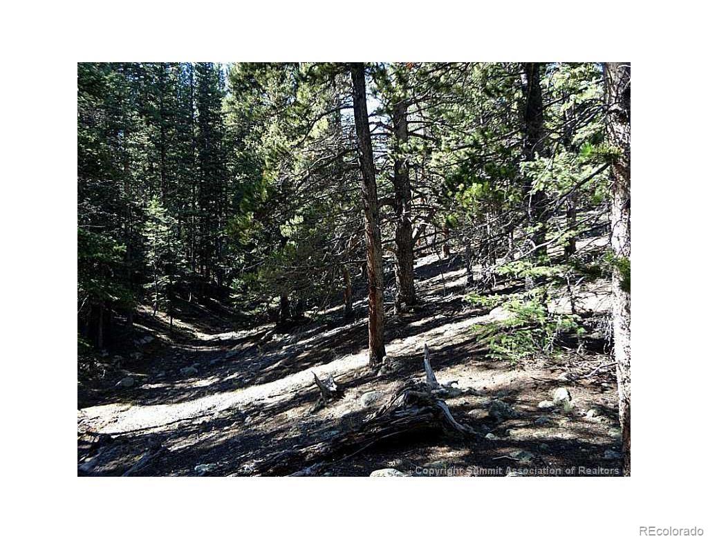 0 Guyot Fairplay, CO 80440 - Photo 10 of 17 a view of outdoor space