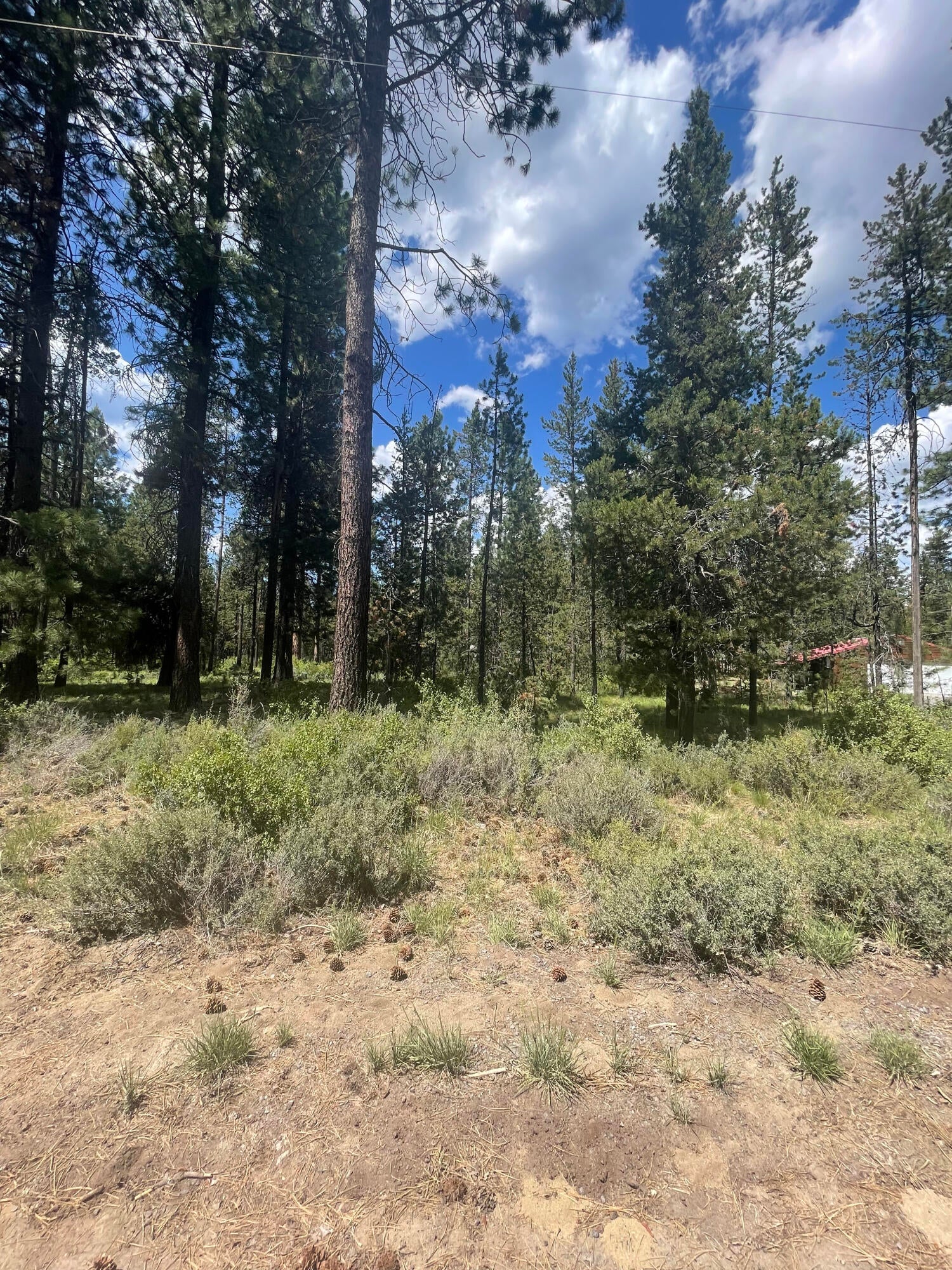 17246 Kingsburg Road Bend, OR 97707 - Photo 1 of 1 IMG_1836