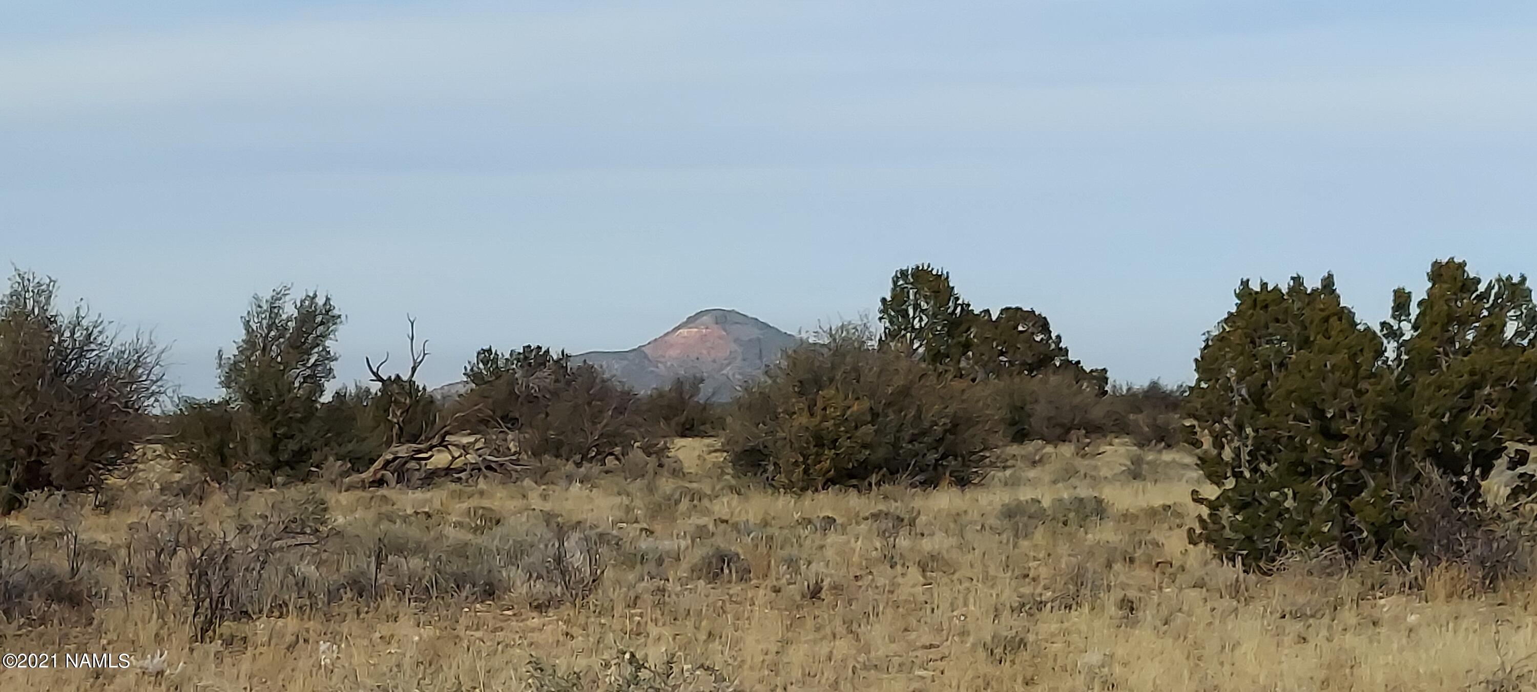 1910 Red Butte Road Williams, AZ 86046 - Photo 17 of 30 20211119_143808