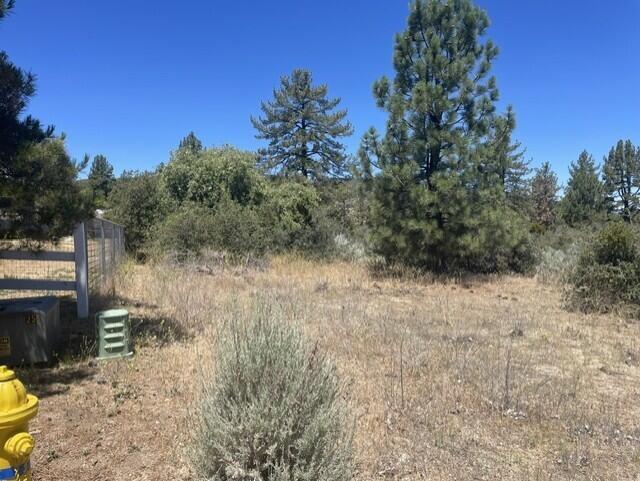 0 Devils Ladder Road Mountain Center, CA 92561 - Photo 9 of 10 Rothe lot.10