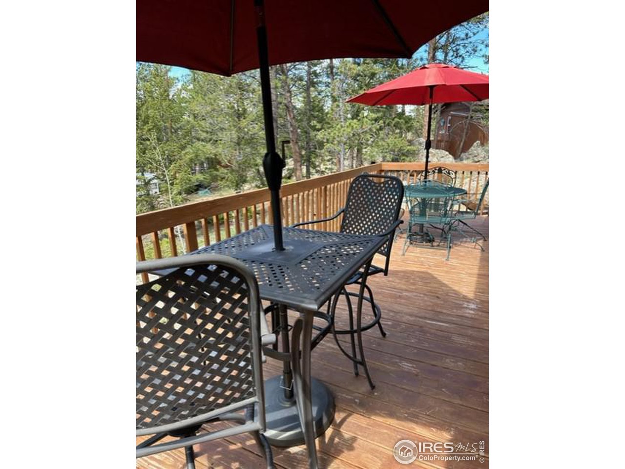 655 Nokomis Road Red Feather Lakes, CO 80545 - Photo 14 of 21 Quiet setting to visit with a friend or read a book.