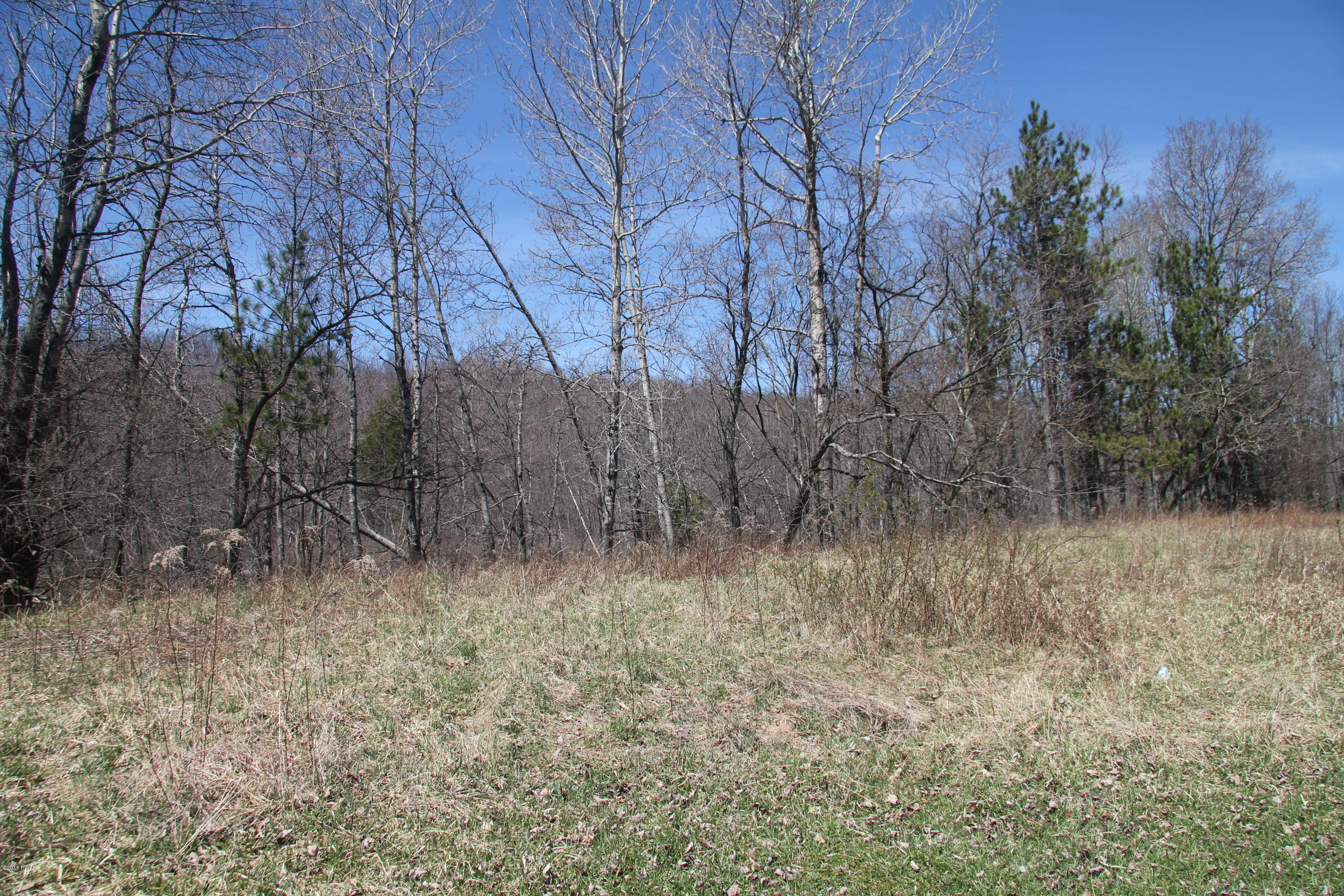 Maple Street Forest City, PA 18421 - Photo 10 of 10