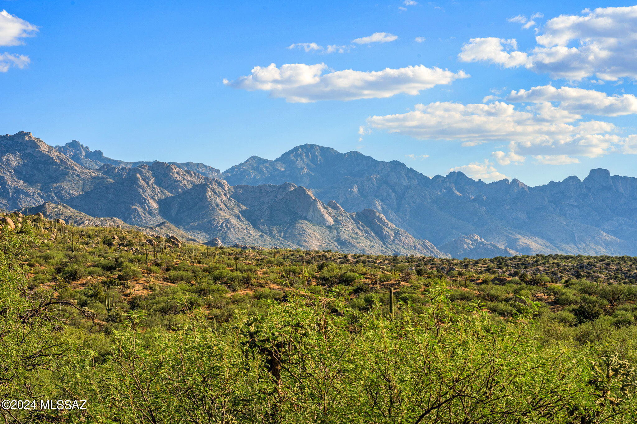 16500 North Ridge Rock Trail Tucson, AZ 85739 - Photo 18 of 29 14-web-or-mls-16500 N Ridge Rock Trail -