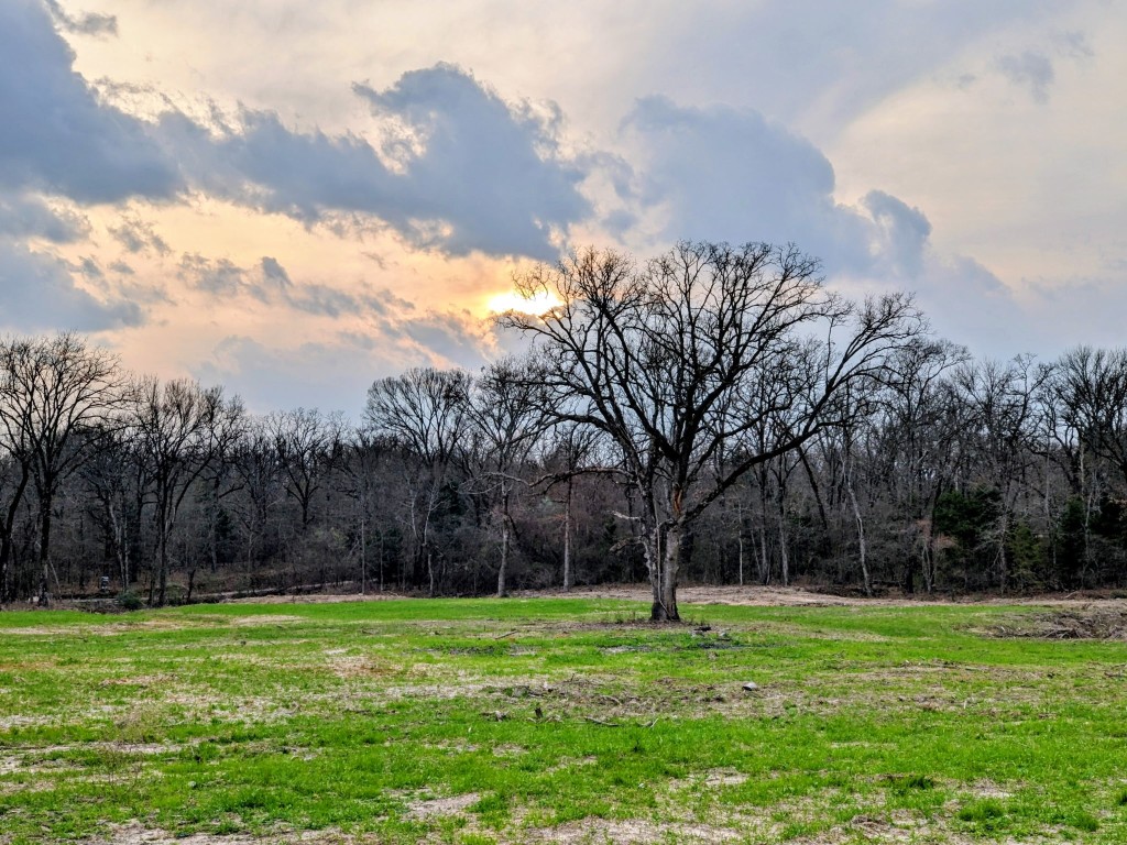 3115 Rains County Road 2610 Alba, TX 75410 - Photo 32 of 50 a backyard of a house with lots of green space