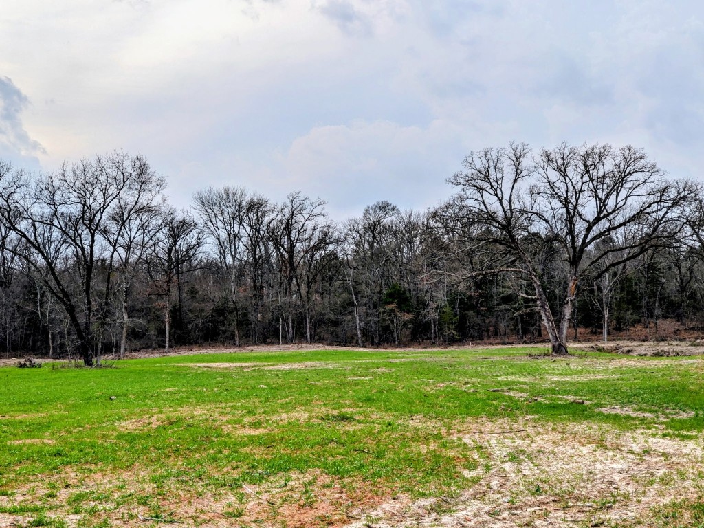 3115 Rains County Road 2610 Alba, TX 75410 - Photo 34 of 50