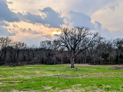 $690,000 | 3115 Rains County Road 2610, Alba, TX 75410