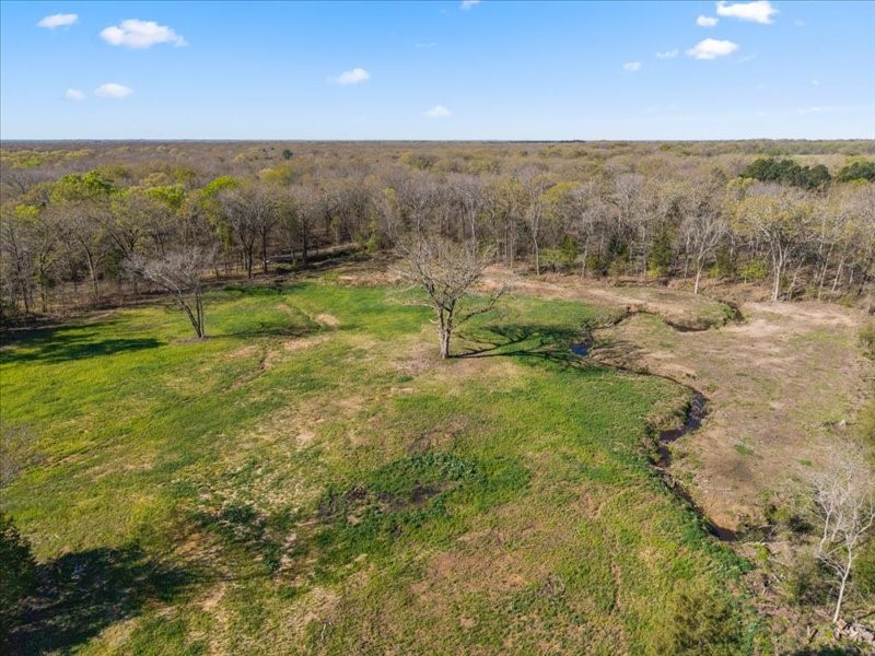 3115 Rains County Road 2610 Alba, TX 75410 - Photo 38 of 50