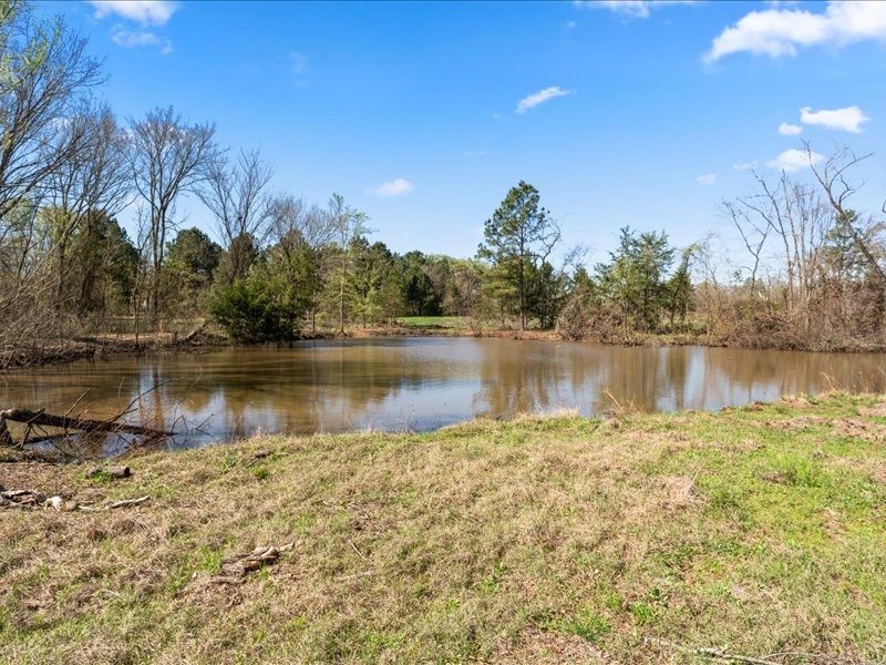 3115 Rains County Road 2610 Alba, TX 75410 - Photo 41 of 50