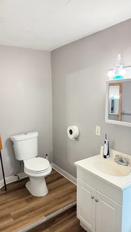 a bathroom with a sink and a toilet