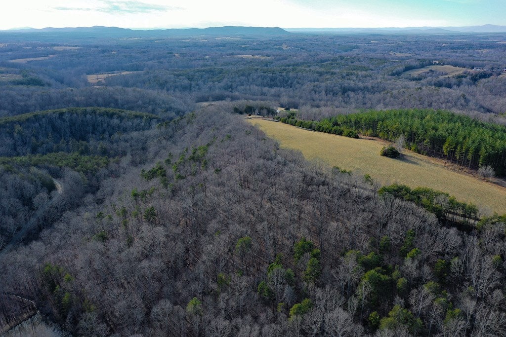 1084 Hedge Road Chatham, VA 24531 - Photo 40 of 75 Gallery Image 40