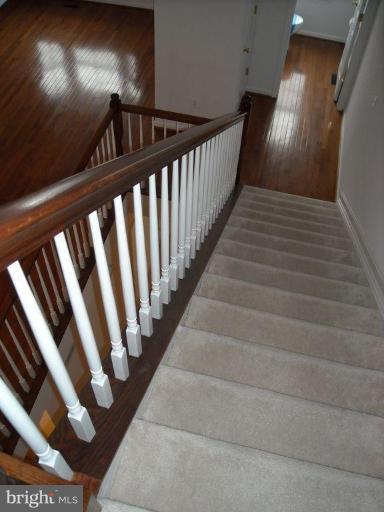 3441 Falls Road Baltimore, MD 21211 - Photo 19 of 23 Stairs (other)