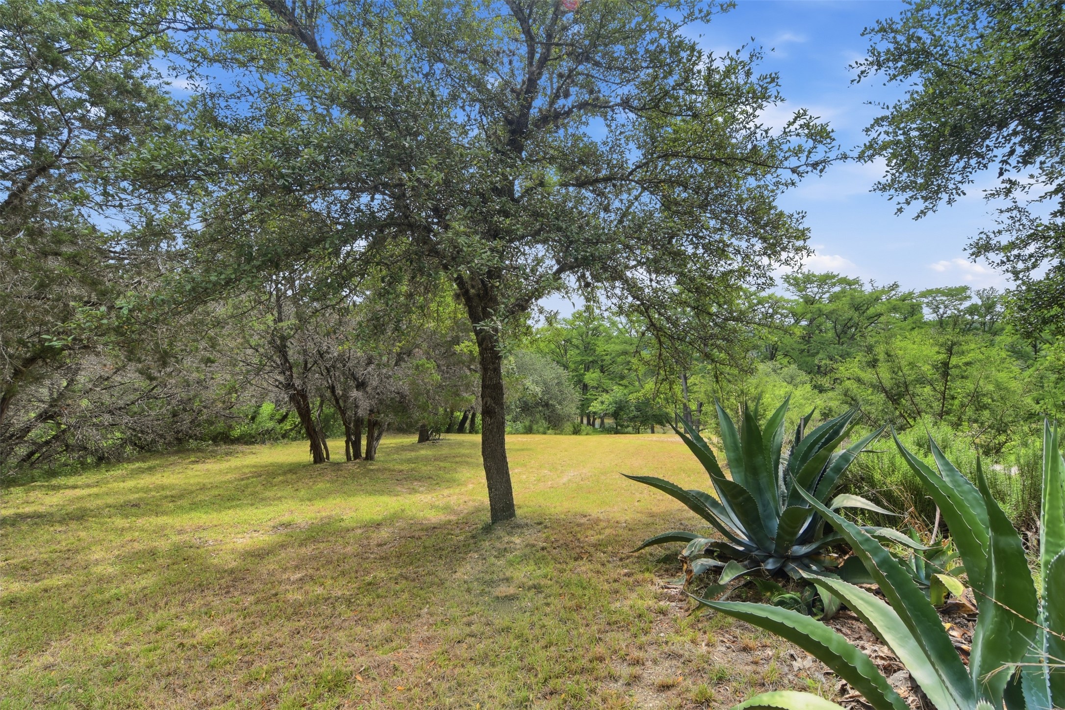 1260 Magers Road Concan, TX 78838 - Photo 35 of 40 A verdant, open lot framed by established trees offers a natural setting.