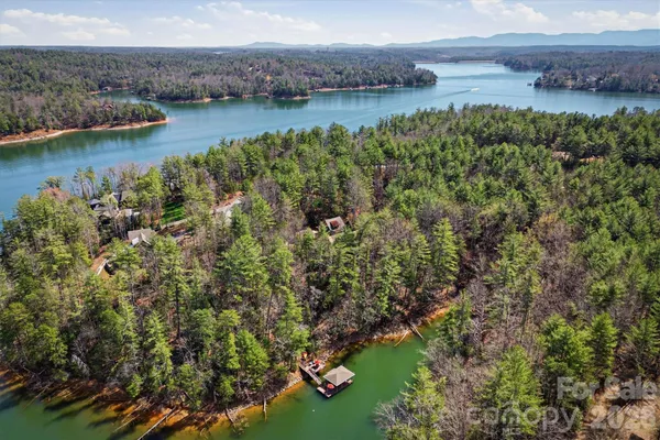 $3,750,000 | 2007 Old Wildlife Club Drive, Unit 4, Nebo, NC 28761