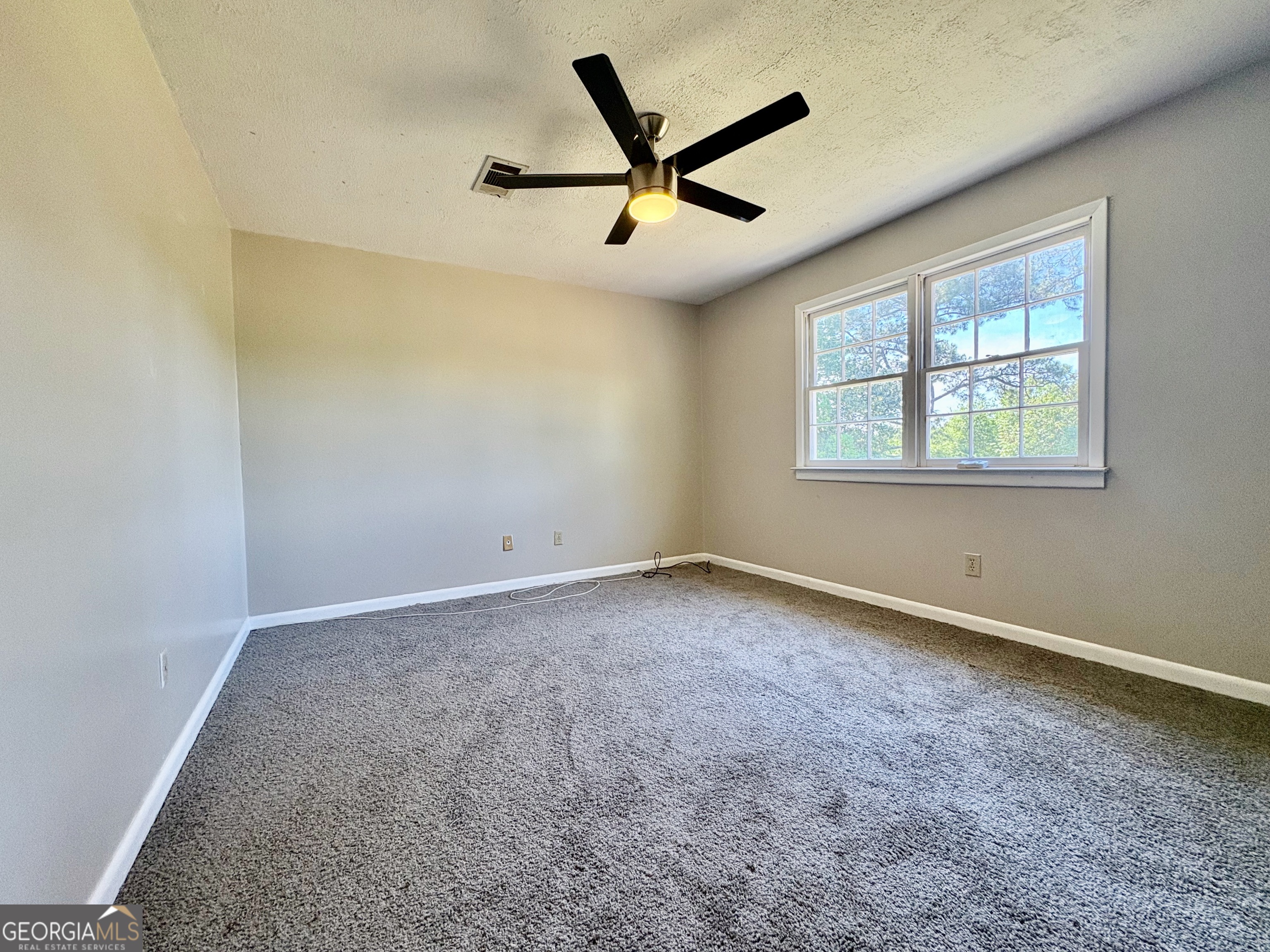117 Laura Lane Fort Valley, GA 31030 - Photo 16 of 28 an empty room with ceiling fan and windows