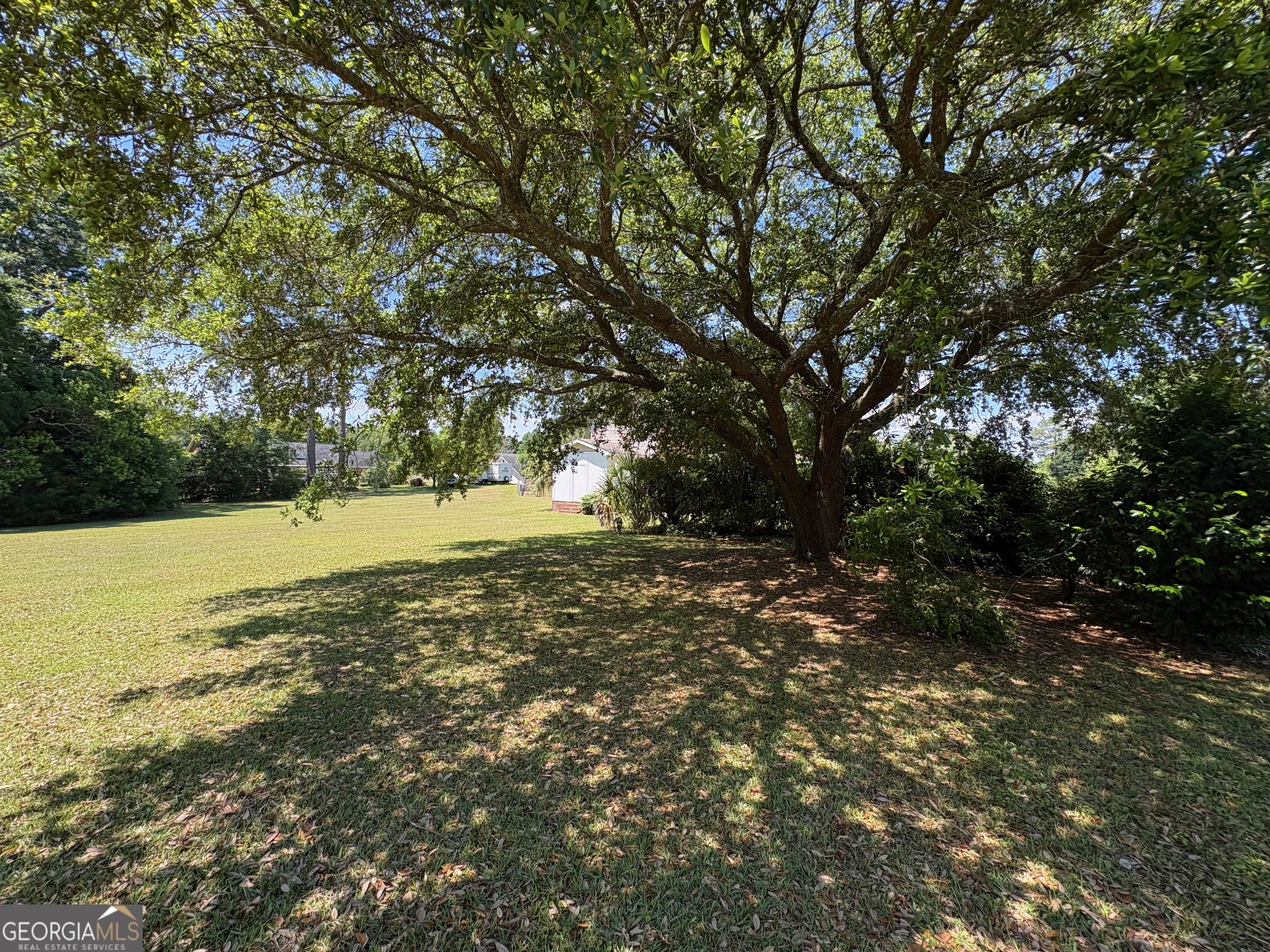 117 Laura Lane Fort Valley, GA 31030 - Photo 25 of 28 a view of yard with large trees