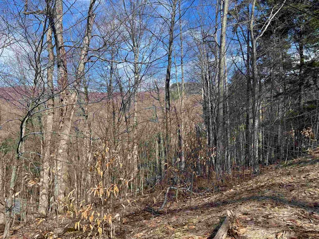 $35,000 | 2-47 East Ash Road, Plymouth, VT 05056