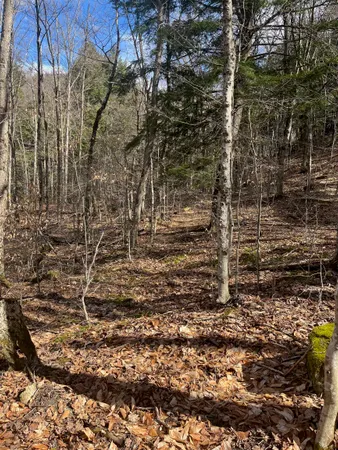 $27,500 | 2-47 East Ash Road, Plymouth, VT 05056