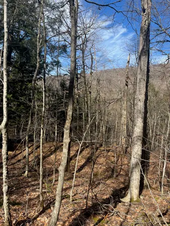 $27,500 | 2-47 East Ash Road, Plymouth, VT 05056