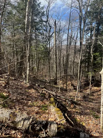 $35,000 | 2-47 East Ash Road, Plymouth, VT 05056