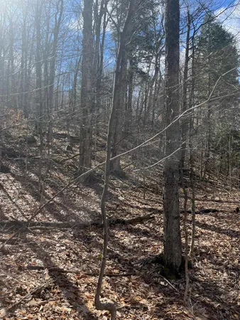 $27,500 | 2-47 East Ash Road, Plymouth, VT 05056