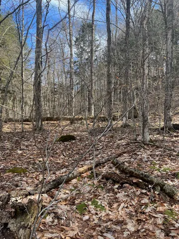 $35,000 | 2-47 East Ash Road, Plymouth, VT 05056