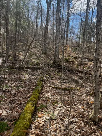 $27,500 | 2-47 East Ash Road, Plymouth, VT 05056