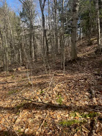 $27,500 | 2-47 East Ash Road, Plymouth, VT 05056
